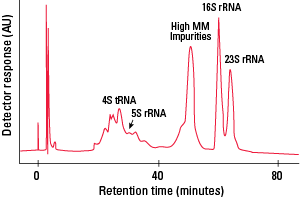 IEX_DEAE-5PW-Fig8.png